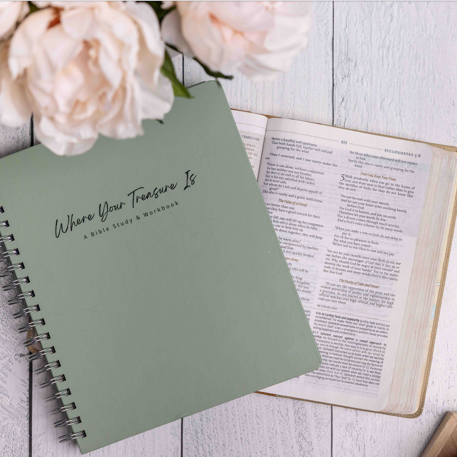 Where Your Treasure Is: Bible Study & Workbook